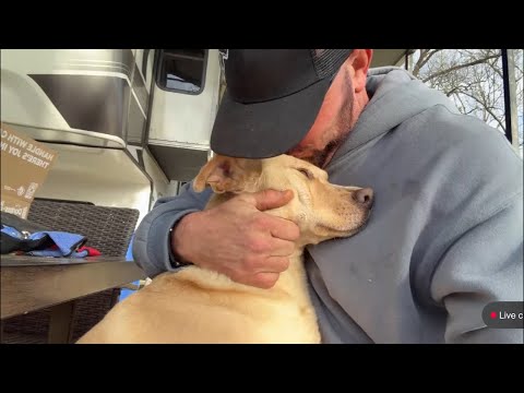 Friday Longhorn and Horses! (Coffee Club)