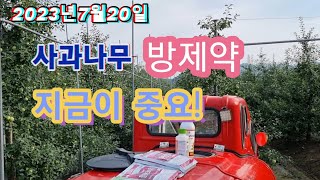 2023년7월20일 사과나무 방제약/일소방지/엽소방지/탄저병예방/점무늬낙엽병예방/갈색날개매미충방제/미국선녀벌…