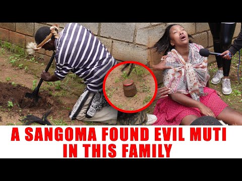 Ep 558 A Sangoma Found An Evil Muti In This Family
