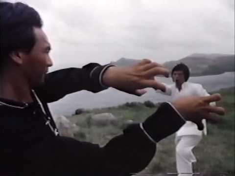 Tiger and Crane Shaolin Kung Fu - Part 1