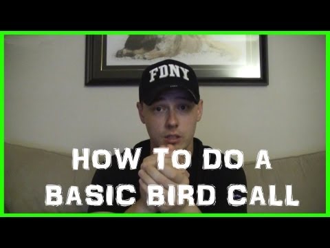 How To Do a Basic Bird Call (Loon Call)