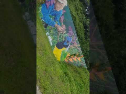 Argelia, Valle del Cauca. Colombia