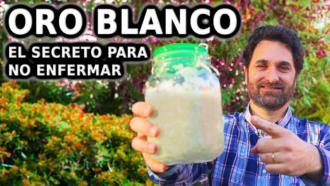 Para qué sirve y Cómo hacer CHUCRUT: Alimento para no enfermar. Probiótico y Prebiótico
