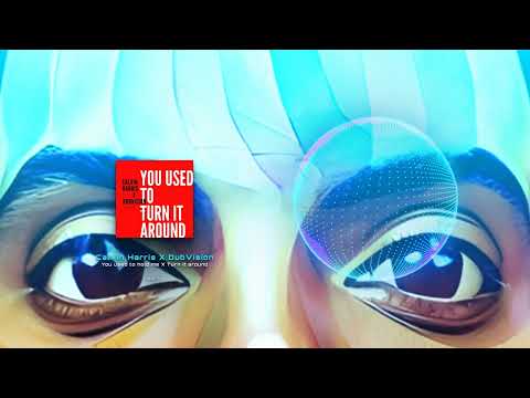 Calvin Harris X DubVision - You used to turn it around (Mizzo's Mash)