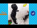 BAD DAY Better Watch This 😂 Best Funny & Fails Of The Year 2023 Part 22