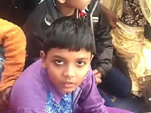 Chicken /Chicken /KUK DOO KOO VIDEO Song