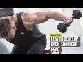 How To Develop Each Deltoid Head with 3 Exercises