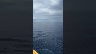 Let’s go holiday🎉 #music #youtubeshorts #shorts #short #travel #cruise #sea #holiday #funny #fun
