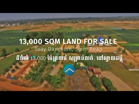   13000 Sqm Land For Sale - Svay Dangkum, Siem Reap thumbnail