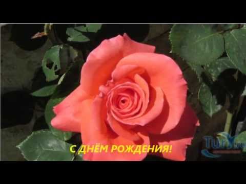 С днём рождения, Т а т ь я н а:) (Ульяновск)!!!