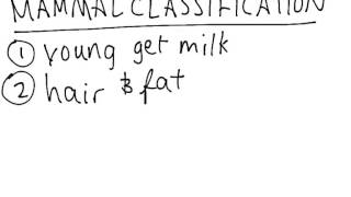 Mammal Classification