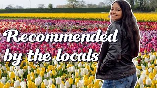 Visiting the Tulip Barn Amsterdam | The Best Tulip Experience Outside Keukenhof!