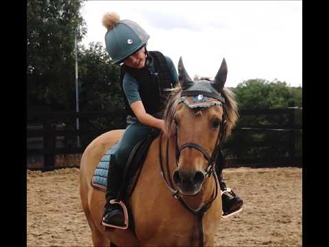 ๐ 13h Pony Club Pony ๐ - Image 2