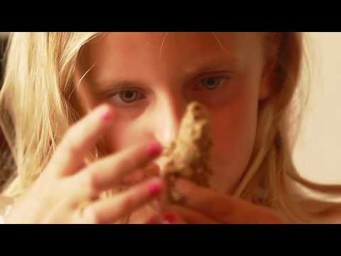 download lagu mp3 mp4 Nut Free Bird Seed, download lagu Nut Free Bird Seed gratis, unduh video klip Nut Free Bird Seed