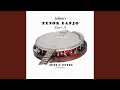Teetotaller / Swallow's Tail (Reels)