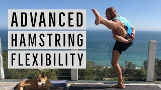 Build Extreme Active Hamstring Flexibility w/ Binds! -Bound Triangle & Bird of Paradise Progressions