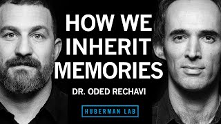 Dr. Oded Rechavi: Genes &amp; the Inheritance of Memories Across Generations | Huberman Lab Podcast