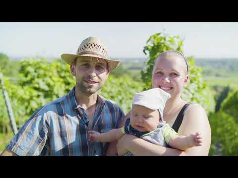 Winzerverein Meersburg Portrait 6