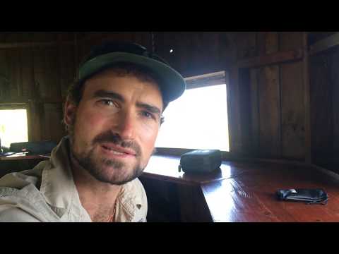 Birdwatching at the Malachite Bird Hide in the Garden Route National Park