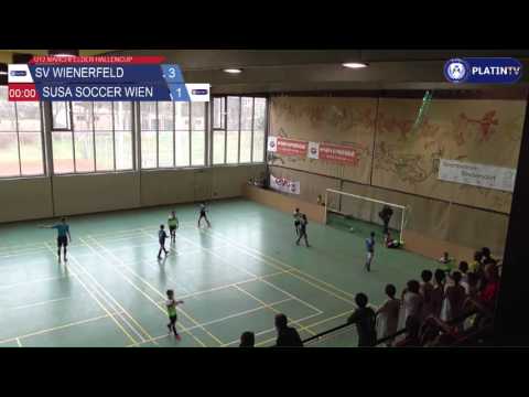 Tor -  SV Wienerfeld / SUSA Soccer Wien am 14.02.2016 10:40