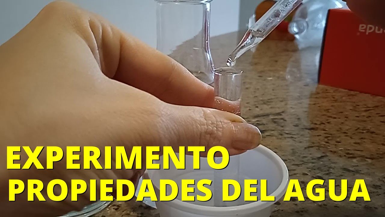 Experimento sobre las propiedades del agua: capacidad calorífica, densidad y superficie💧👩‍🔬
