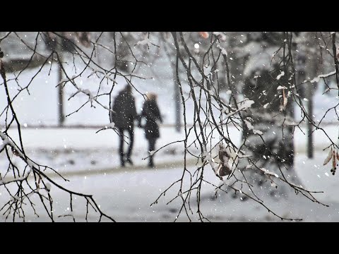Wetter heute: Die aktuelle Vorhersage (16.12.2022)