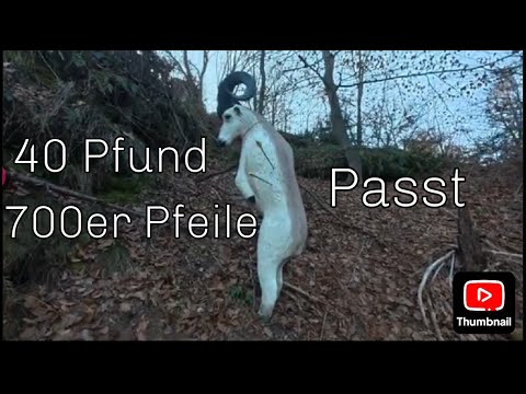 3d Parcours Sächsische Schweiz  Teil 2  Pfeiltest