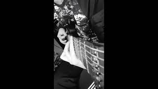 STL Tones AmpHub Meridian 65+ Model