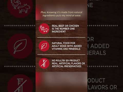 Indulge Your Dog's Taste Buds with Nutrish Rachael Ray Wet Dog Food🐾