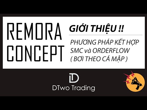 REMORA CONCEPT - PHƯƠNG PHÁP KẾT HỢP SMC VÀ ORDER FLOW BƠI THEO CÁ MẬP