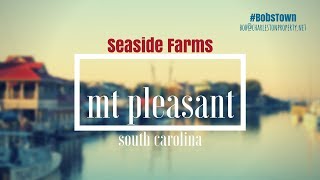 preview picture of video 'Seaside Farms -- Mt Pleasant, SC Resort Style Neigborhood'