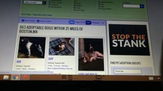 What is Petfinder.com