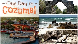 Cozumel, Mexico | 1-Day Shore Excursion & Cruise