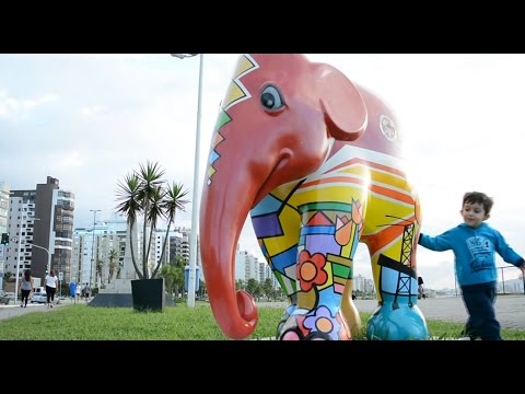 TJ UFSC 18/03/16 - Elephant Parade/ Lula retorna ao cargo