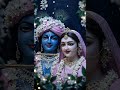 Jamane Sari Khushi Mil Gayi Hai Jaishreekrishna Radheradhe