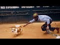 Mbosso PAWA PARODY By Dogo Charlie