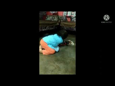 chumki a gar musile#shorts#cute baby#baby