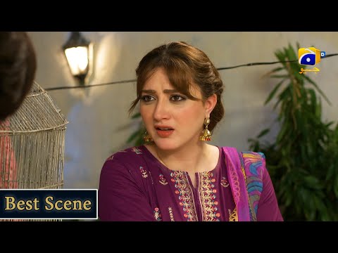 Grift Episode 86 || 𝗕𝗲𝘀𝘁 𝗦𝗰𝗲𝗻𝗲 𝟬𝟮 || Ali Abbas - Saniya Shamshad || Har Pal Geo