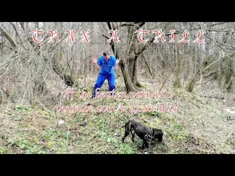 Trax A Trillion ~ Off the Beaten Path pt 2