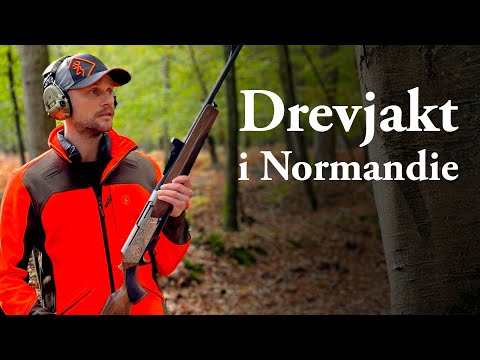 Jaktresan: Drevjakt i Normandie