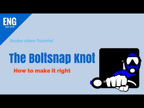 The boltsnap Knot
