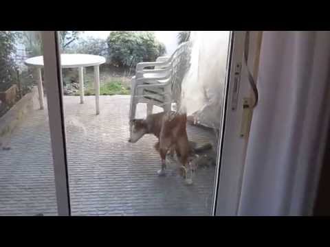 Albita, la mas "loquita" de la familia...