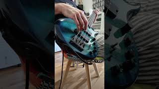 Talking Heads Heaven #talkingheads #davidbyrne #basscover #70music #postpunk #rockmusic #bassplayer