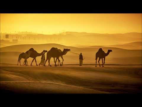 ORKIDZ - Life Is Within (Camel) [Cafe De Anatolia]