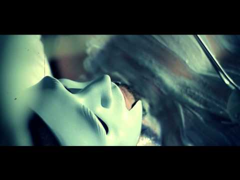 LUDWIK- BAS (official video)