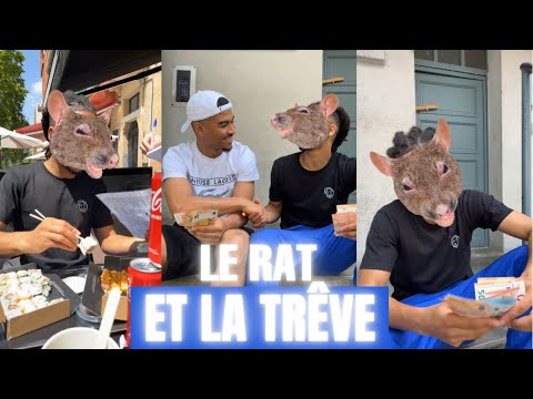 THE RAT AND THE SUSHI FIASCO (this is going way too far)