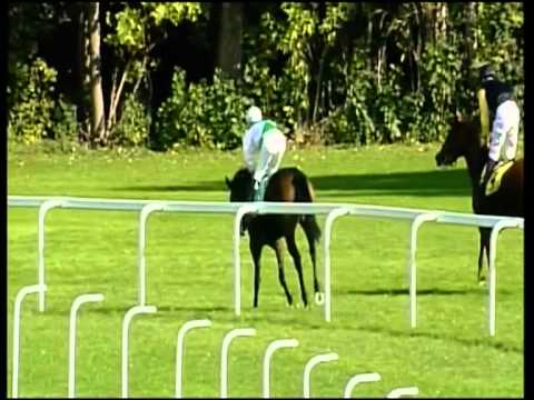 München-Riem, Preis der Motostar München W.Wegmann GmbH, 14.10.2012 - Siegerin: Ars Nova