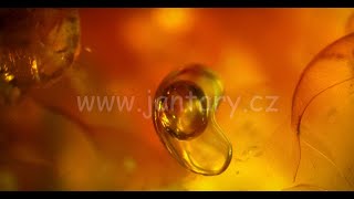 Okno do baltského jantaru PO-16