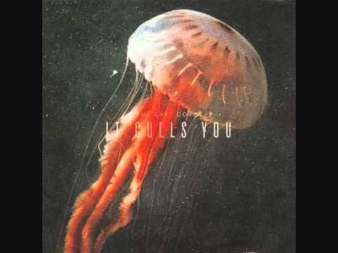 The Envy Corps - Fools (How I Survived You & Even Laughed)