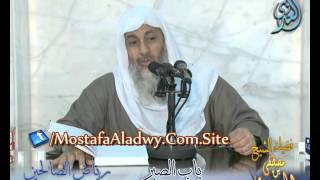 صورة شرح رياض الصالحين (12) باب الصبر من حديث كان ملك فيمن قبلكم وكان له ساحر للشيخ مصطفى العدوي